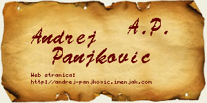Andrej Panjković vizit kartica